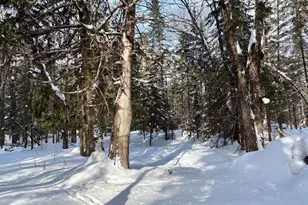 25392 Hwy 13, Glidden, WI 54527 - Photo 31