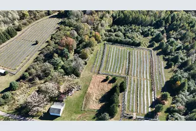 W6098 E Stelling Road, Tomahawk, WI 54487 - Photo 25