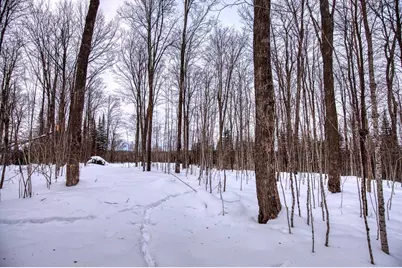 N16381 Sand Cove Pointe Road, Park Falls, WI 54552 - Photo 9