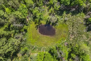 1751 Buttercup Ave, Arkdale, WI 54613 - Photo 47