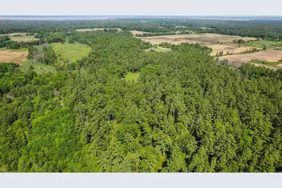 1751 Buttercup Avenue, Arkdale, WI 54613 - Photo 43