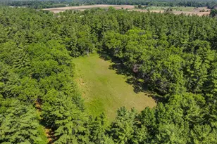 1751 Buttercup Ave, Arkdale, WI 54613 - Photo 45