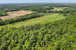 1751 Buttercup Ave, Arkdale, WI 54613 - Photo 51