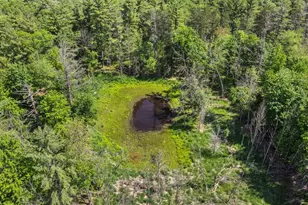 1751 Buttercup Ave, Arkdale, WI 54613 - Photo 49