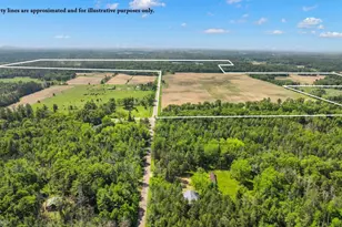 1751 Buttercup Ave, Arkdale, WI 54613 - Photo 41