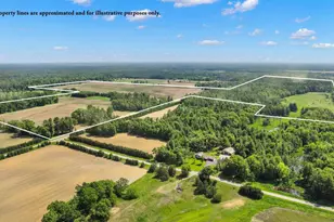 1751 Buttercup Ave, Arkdale, WI 54613 - Photo 39