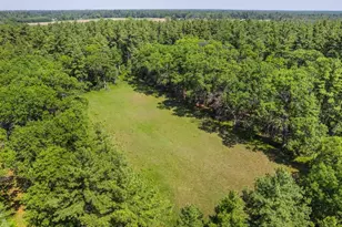 1751 Buttercup Ave, Arkdale, WI 54613 - Photo 51