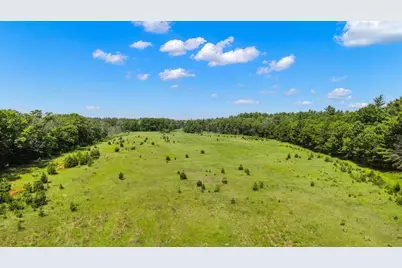 1751 Buttercup Avenue, Arkdale, WI 54613 - Photo 55