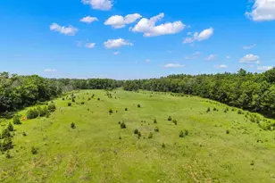 1751 Buttercup Ave, Arkdale, WI 54613 - Photo 55