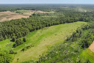 1751 Buttercup Ave, Arkdale, WI 54613 - Photo 53