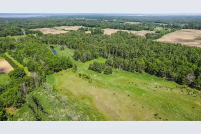 1751 Buttercup Avenue, Arkdale, WI 54613 - Photo 59