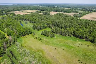 1751 Buttercup Ave, Arkdale, WI 54613 - Photo 59