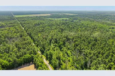 1751 Buttercup Avenue, Arkdale, WI 54613 - Photo 37