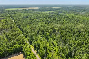 1751 Buttercup Ave, Arkdale, WI 54613 - Photo 37