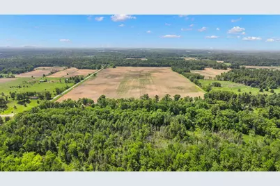 Lot 1-3 Buttercup Avenue, Arkdale, WI 54613 - Photo 7