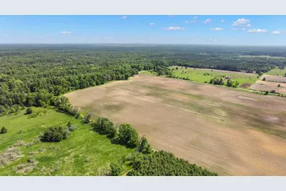 Lot 1-3 Buttercup Avenue, Arkdale, WI 54613 - Photo 11