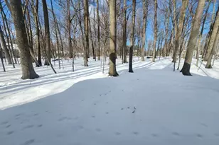 1601 W Arlington St, Marshfield, WI 54449 - Photo 33