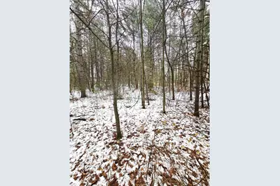 N11278 Kaufman Road, Tomahawk, WI 54487 - Photo 31