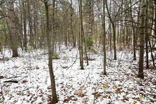 N11278 Kaufman Rd, Tomahawk, WI 54487 - Photo 31