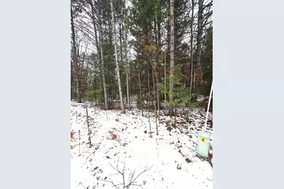 N11278 Kaufman Road, Tomahawk, WI 54487 - Photo 29