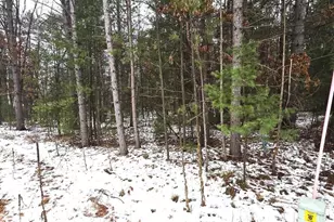 N11278 Kaufman Rd, Tomahawk, WI 54487 - Photo 29