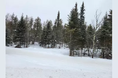 County Road D, Rhinelander, WI 54501 - Photo 3