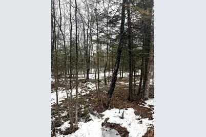 Mount Vista Road, Mosinee, WI 54455 - Photo 13