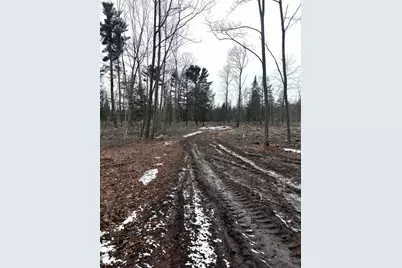 Mount Vista Road, Mosinee, WI 54455 - Photo 9