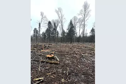 Mount Vista Road, Mosinee, WI 54455 - Photo 7