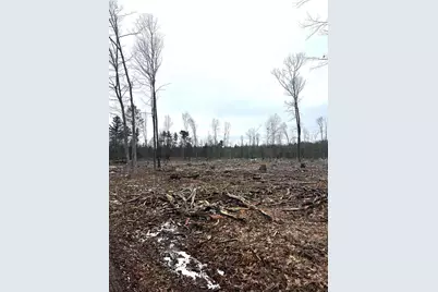 Mount Vista Road, Mosinee, WI 54455 - Photo 3