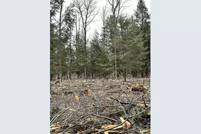 Mount Vista Road, Mosinee, WI 54455 - Photo 11