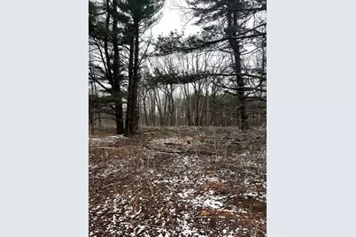 Mount Vista Road, Mosinee, WI 54455 - Photo 1