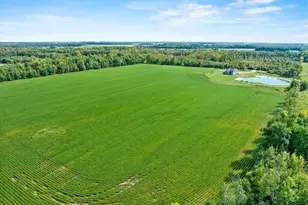 101790 Buxton Rd, Spencer, WI 54479 - Photo 17