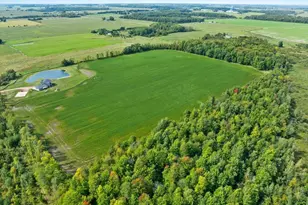 101790 Buxton Rd, Spencer, WI 54479 - Photo 15