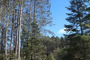 N11914 Oriole Ln, Elcho, WI 54428 - Photo 41