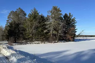 N11914 Oriole Ln, Elcho, WI 54428 - Photo 41