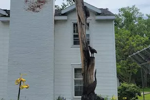 1230 N Superior St, Antigo, WI 54409 - Photo 53