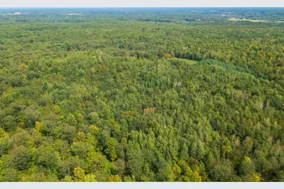 68.53 Acres Boundary Road, Hatley, WI 54471 - Photo 5