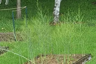 105428 Woodridge Dr, Marshfield, WI 54449 - Photo 55