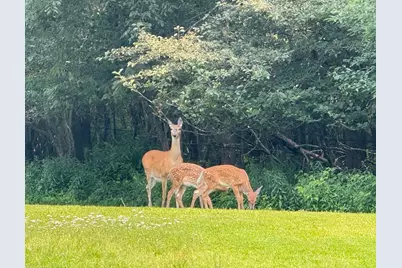 N9076 Bridge Road, Phillips, WI 54555 - Photo 9
