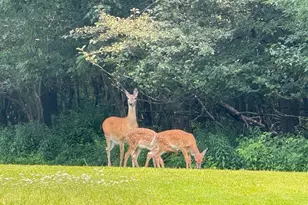 N9076 Bridge Rd, Phillips, WI 54555 - Photo 9