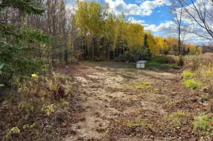 N1979 S West Rd, Ogema, WI 54459 - Photo 51