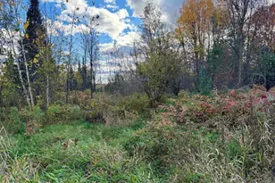 N1979 S West Rd, Ogema, WI 54459 - Photo 49