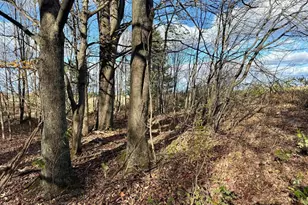 N1979 S West Rd, Ogema, WI 54459 - Photo 57