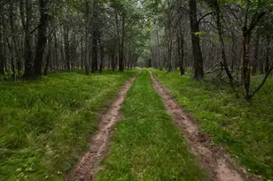 9948 &amp 9880 Siemering Dr, Tomahawk, WI 54487 - Photo 37