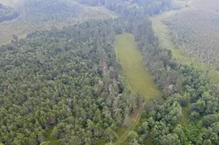 9948 &amp 9880 Siemering Dr, Tomahawk, WI 54487 - Photo 39