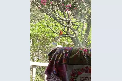 703 Greenbriar Avenue, , WI 54481 - Photo 49