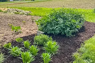 230352 Eau Claire River Rd, Ringle, WI 54471 - Photo 57