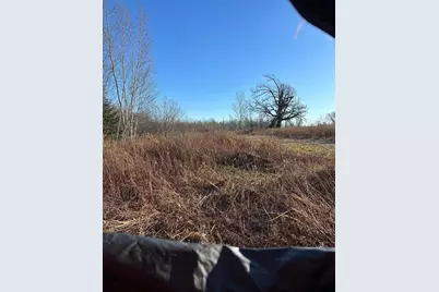 20 Acres On Cloverland, Conrath, WI 54731 - Photo 5