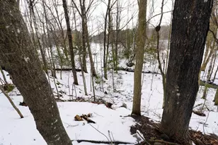 W5326 Fawn Ave, Westboro, WI 54490 - Photo 17